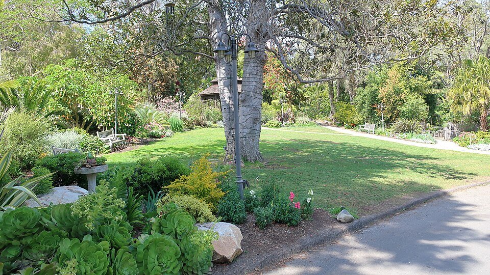 A green lawn and garden beds with succulents at the San Diego Botanic Garden in Encinitas