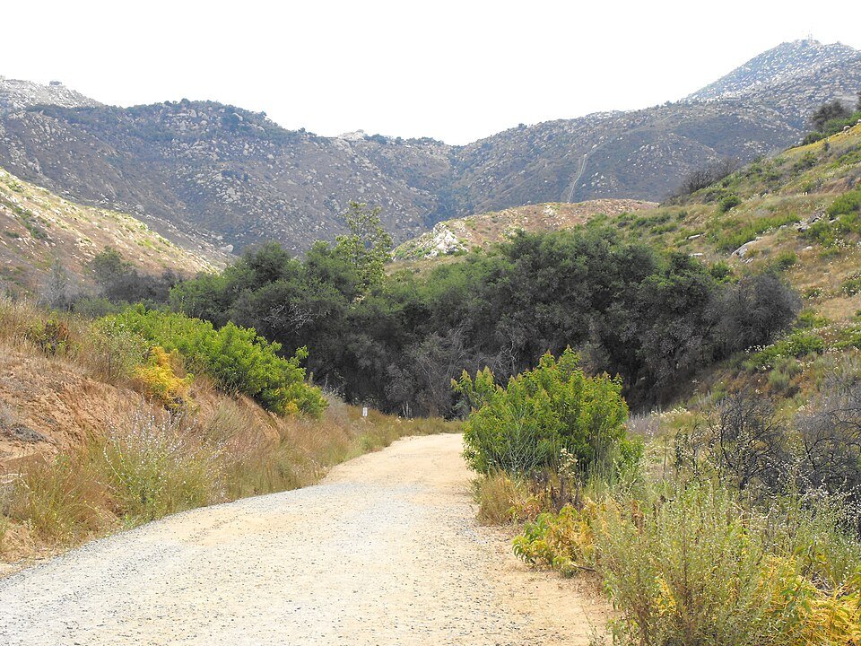 A wide gravel trail through chaparral with mountains ahead at Blue Sky Ecological Reserve