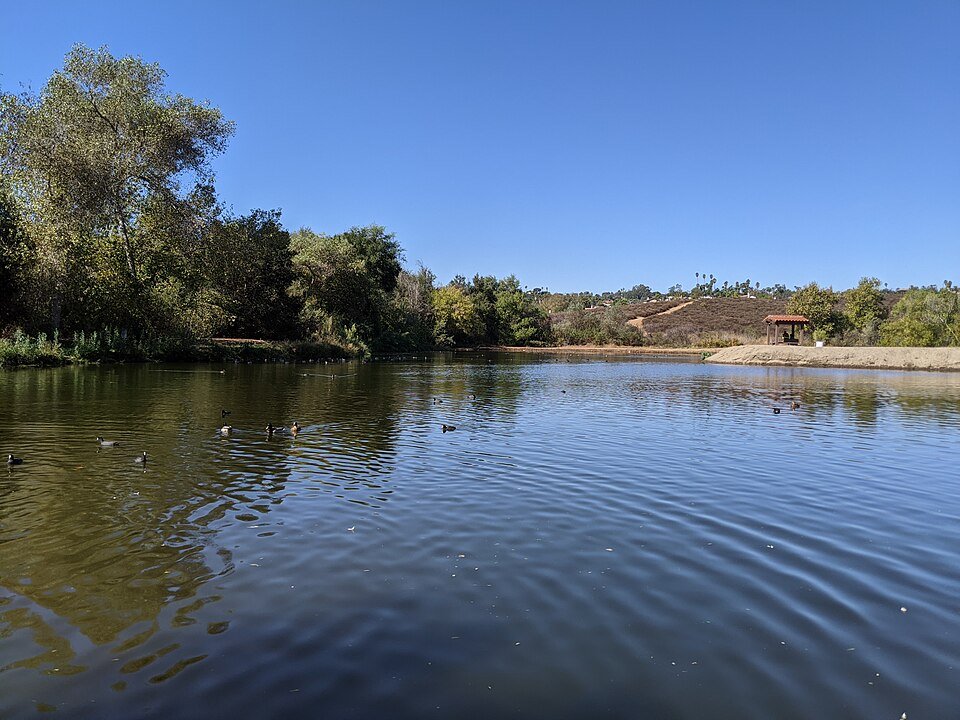 Still water with ducks and a shaded shore at Duck Lake in Kit Carson Park
