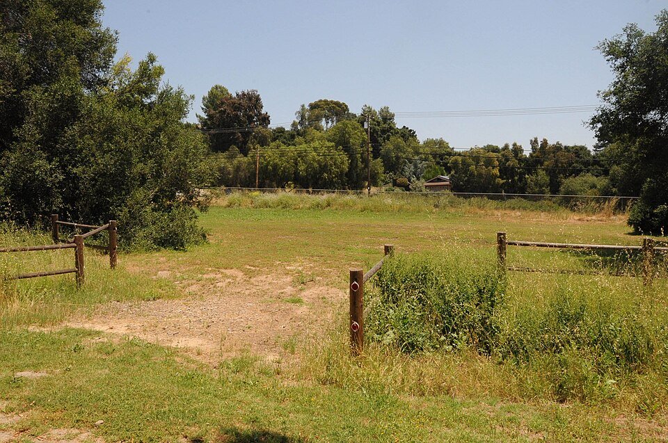 A grass meadow with a split-rail fence and oak trees at Felicita County Park