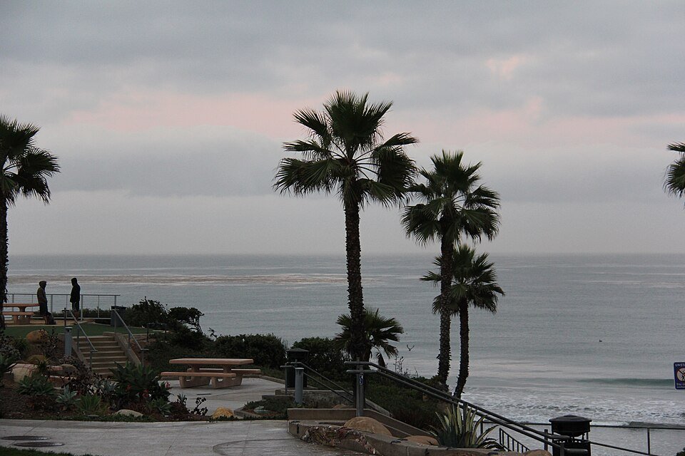 Palm trees and a stair overlook above the ocean at Fletcher Cove in Solana Beach