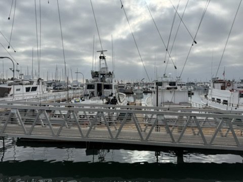 A metal gangway and rows of boats in a harbor under a cloudy sky
