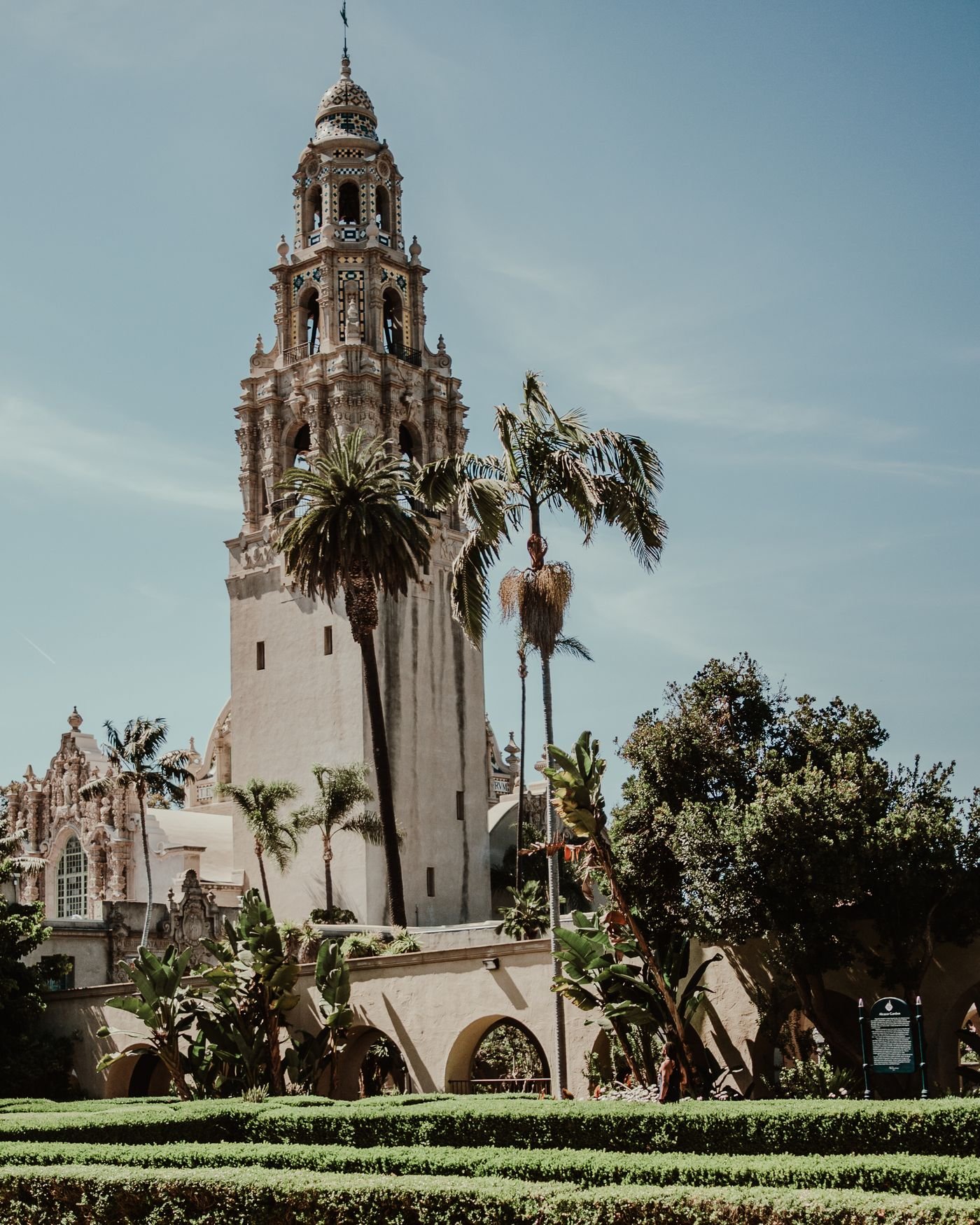 A historic bell tower rising above palm trees in Balboa Park, San Diego
