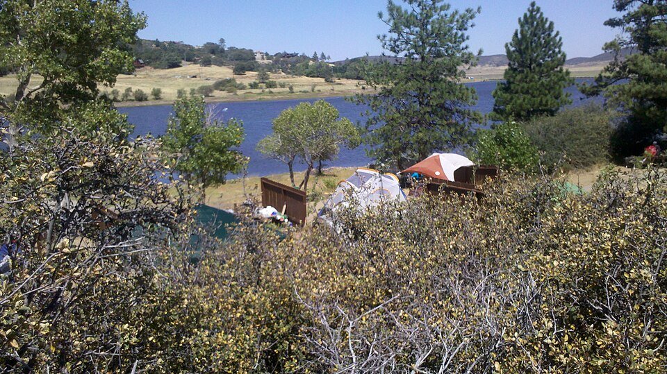 A lake seen through brush, with a tent pitched on the shore among trees.