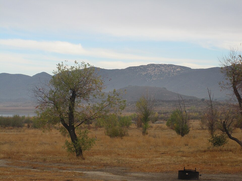 A lone tree on a dry shore with mountains behind and a campfire ring in the corner.