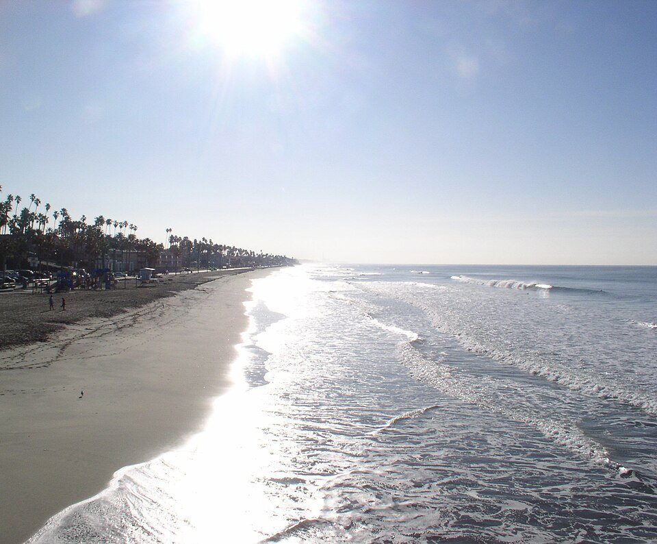 A wide sandy beach at Oceanside with sunlit surf and a palm-lined shoreline