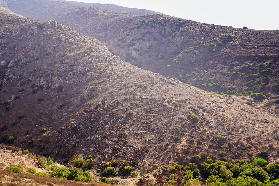A steep brushy hillside with dry chaparral and green shrubs in the folds of the slope