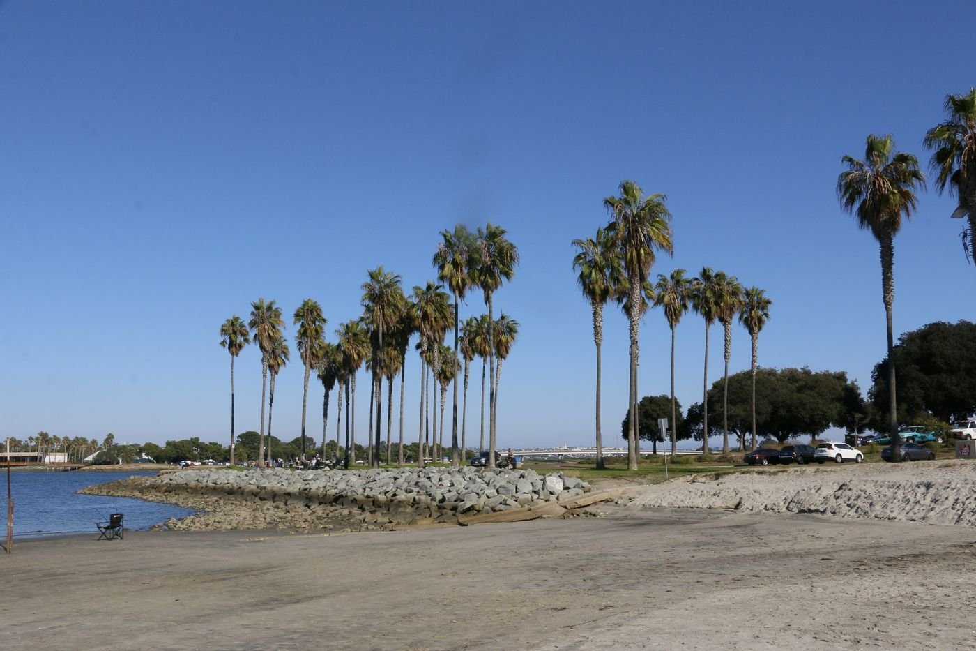 Palm trees in a park beside a sandy beach and calm water