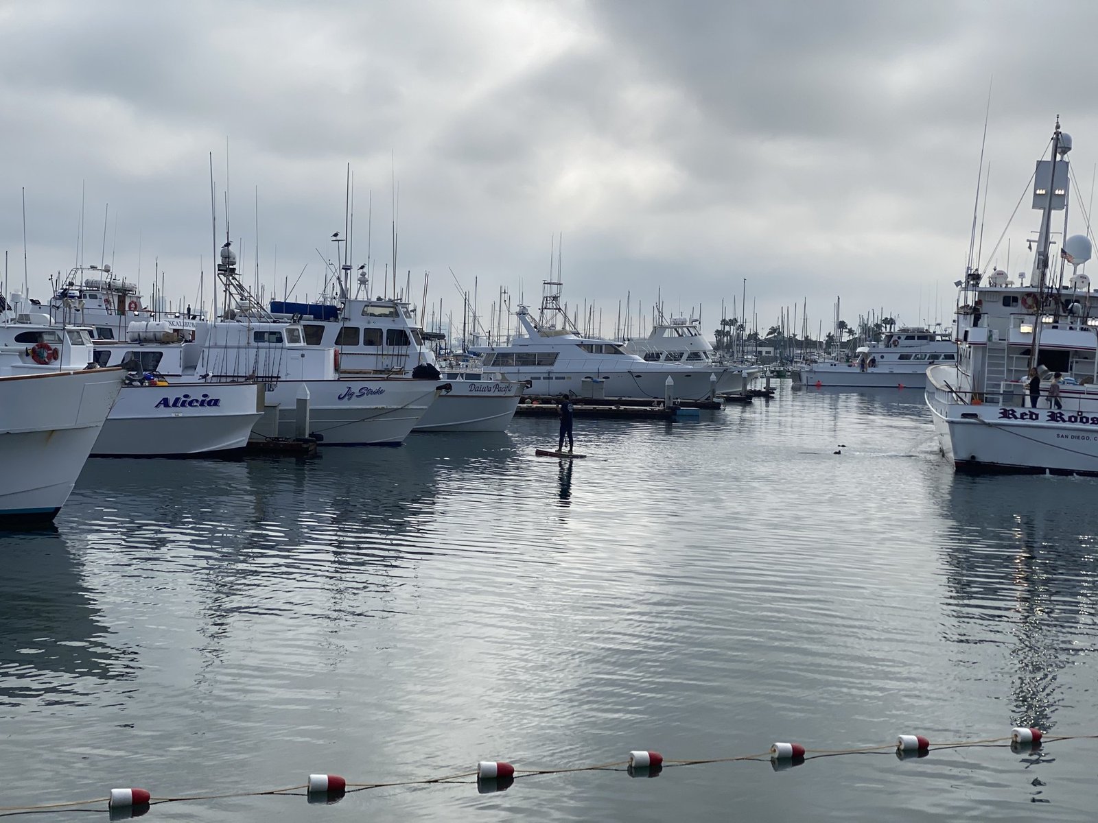 Sportfishing boats at their slips in Point Loma harbor under a gray sky, with part of the Red Rooster III at the right edge