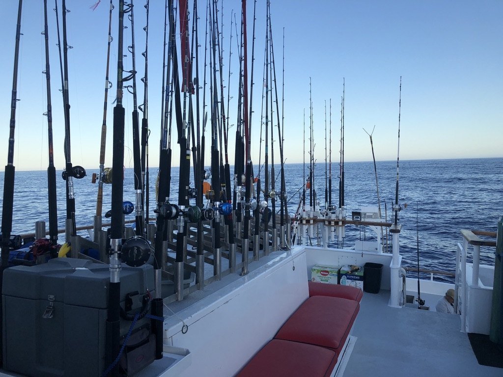 Rows of rods in the rack along the deck rail, with open ocean beyond