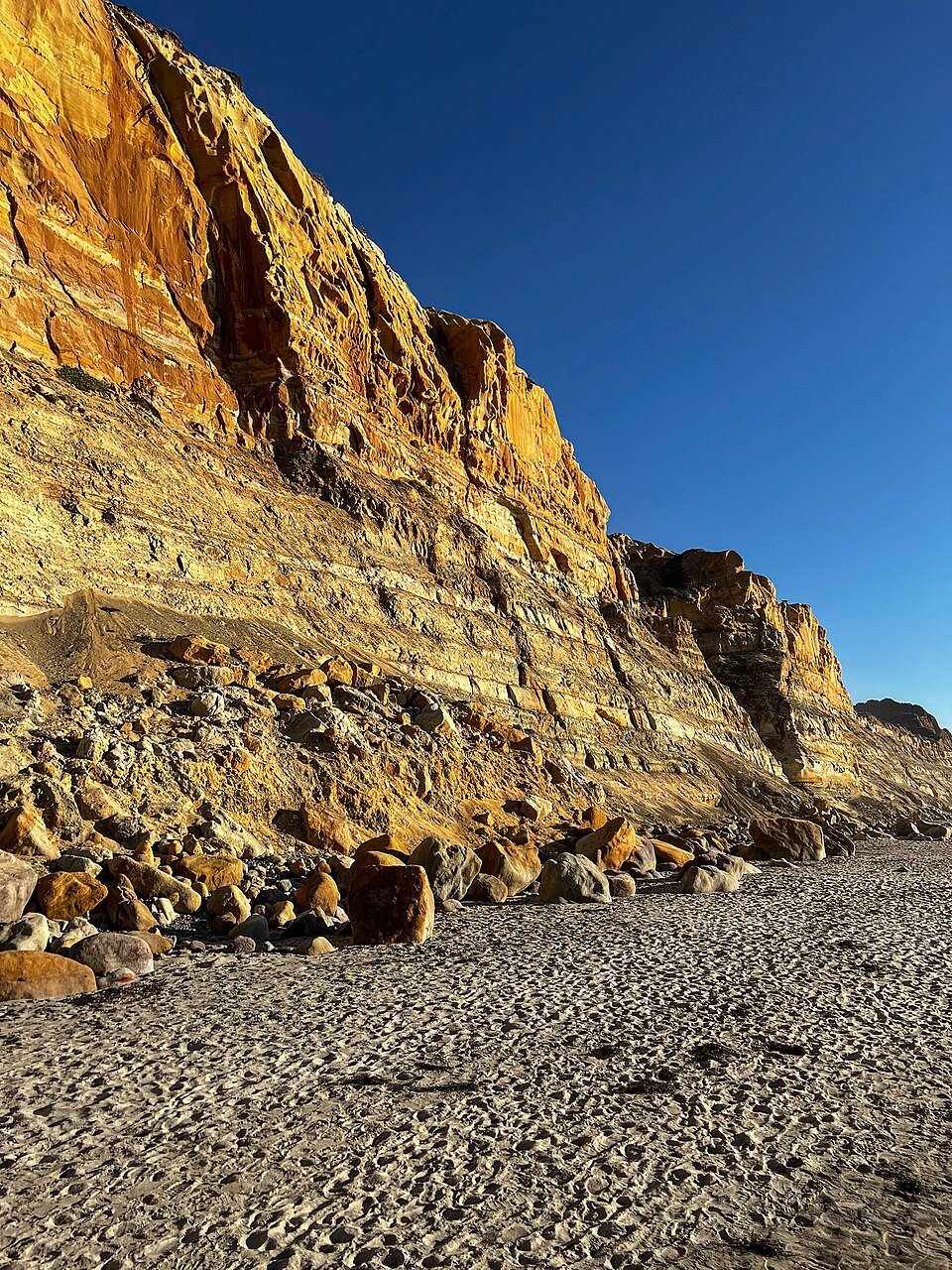 A sandstone sea cliff above a boulder-strewn beach at Torrey Pines State Beach