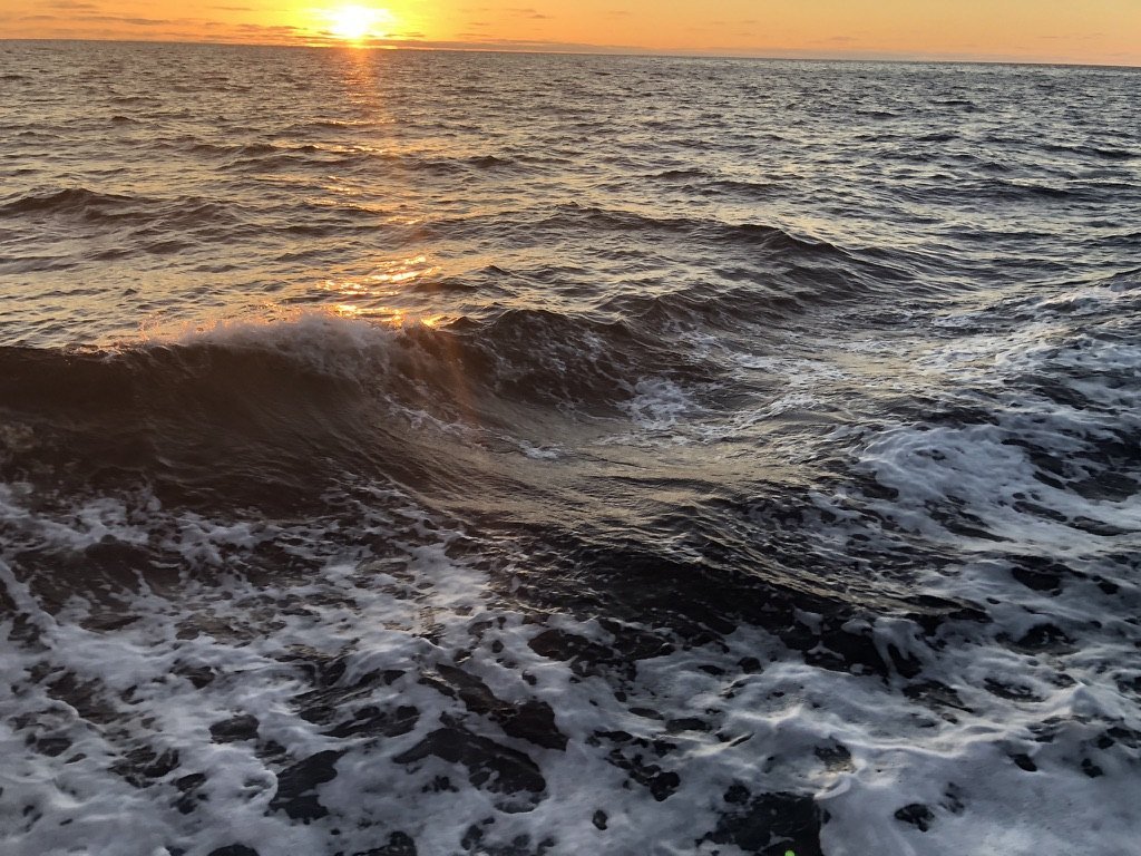 Low sun over choppy, foam-streaked ocean