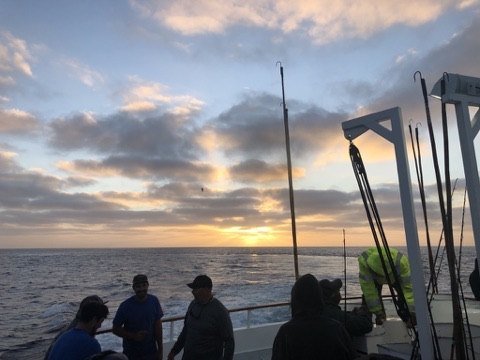 Sunset over the ocean from the stern deck, rods standing along the rail