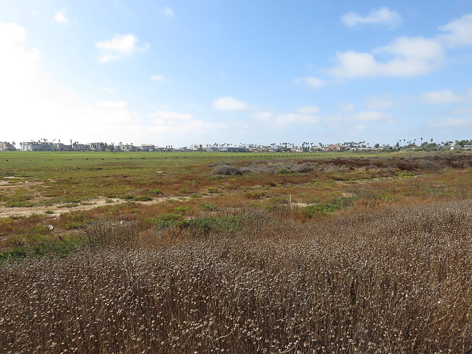 Open green and brown wetland at Tijuana Slough National Wildlife Refuge under a blue sky with houses on the far edge