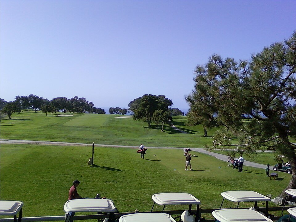 Golf fairway with carts and pine trees on a sunny day.